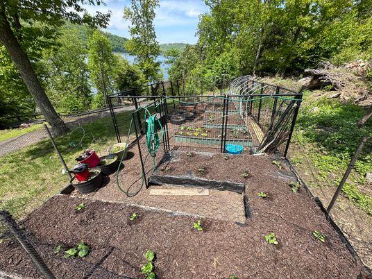 Backyard, Exterior, Playground