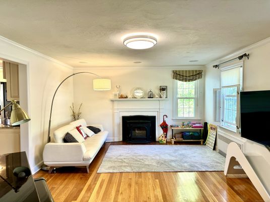 Fireplace, Interior, Wood Texture Flooring