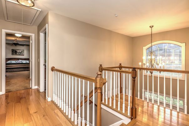 Chandelier, Interior, Wood Texture Flooring