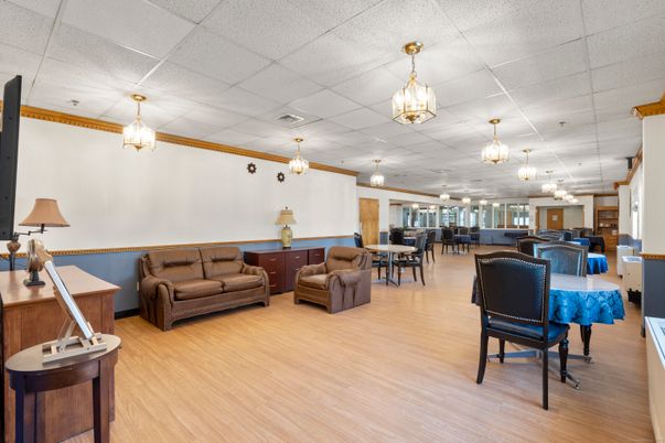 Dining room, Interior, Living room, Pendant Lights, Wood Texture Flooring