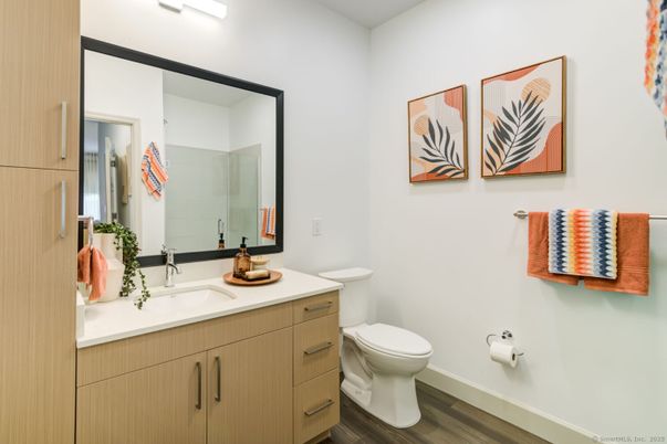 Bathroom, Interior, Wood Texture Flooring