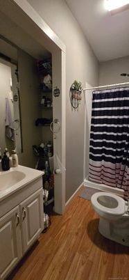 Bathroom, Interior, Wood Texture Flooring