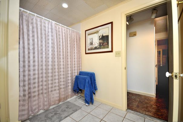 Bathroom, Interior, Recessed Lighting, Wood Texture Flooring
