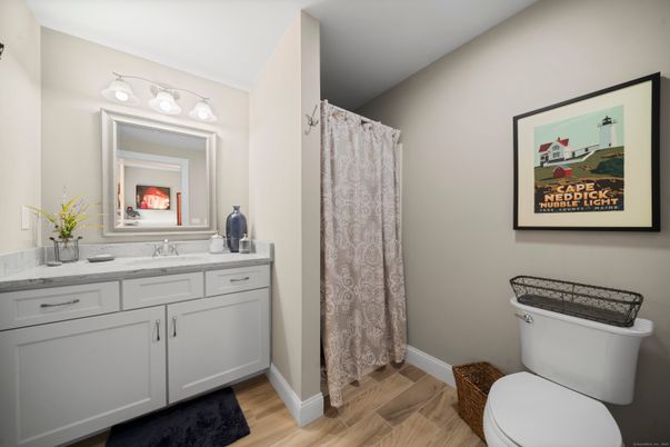 Bathroom, Interior, Wood Texture Flooring