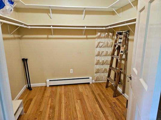 Interior, Walk-in Closets, Wood Texture Flooring