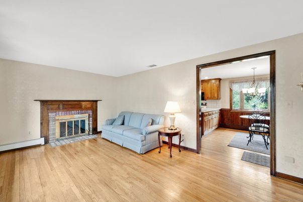 Dining room, Fireplace, Interior, Wood Texture Flooring