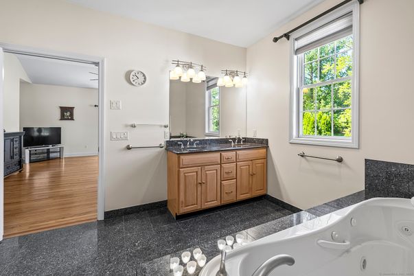 Bathroom, Dual Sink Vanities, Interior, Wood Texture Flooring