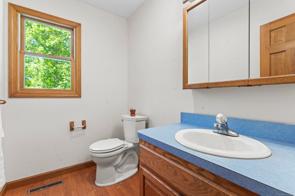 Bathroom, Interior, Wood Texture Flooring