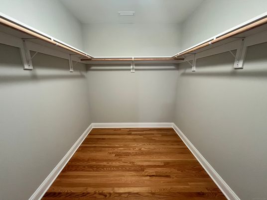Interior, Walk-in Closets, Wood Texture Flooring