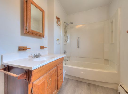 Bathroom, Interior, Wood Texture Flooring