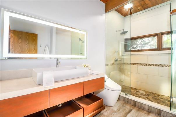 Bathroom, Glass Shower, Interior, Wood Texture Flooring