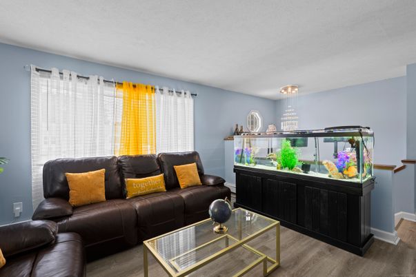 Interior, Living room, Pendant Lights