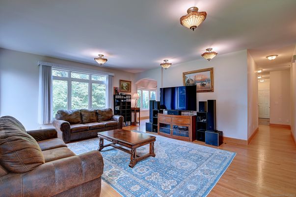Interior, Living room, Wood Texture Flooring