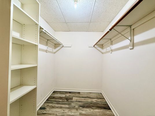 Interior, Walk-in Closets, Wood Texture Flooring
