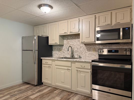 Interior, Kitchen, Stainless Steel Appliances, Wood Texture Flooring
