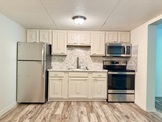 Interior, Kitchen, Stainless Steel Appliances, Wood Texture Flooring