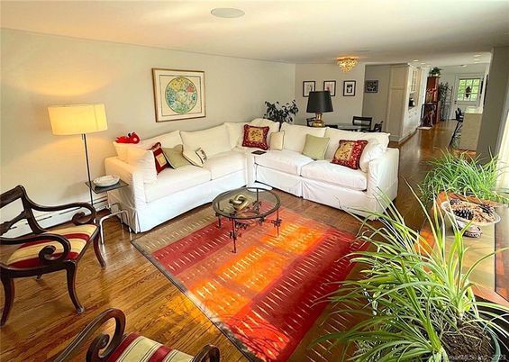 Chandelier, Interior, Living room, Wood Texture Flooring