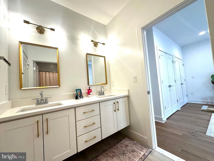 Bathroom, Dual Sink Vanities, Interior, Wood Texture Flooring