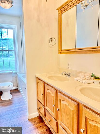 Bathroom, Dual Sink Vanities, Interior, Wood Texture Flooring