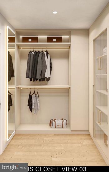 Interior, Recessed Lighting, Walk-in Closets, Wood Texture Flooring