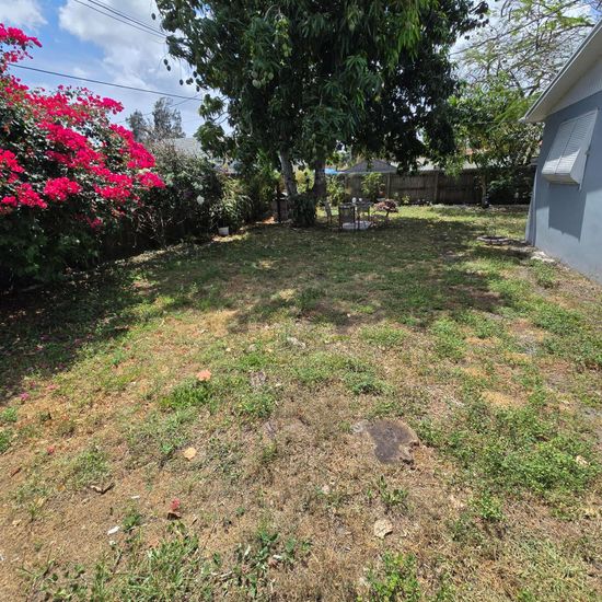 Backyard, Exterior