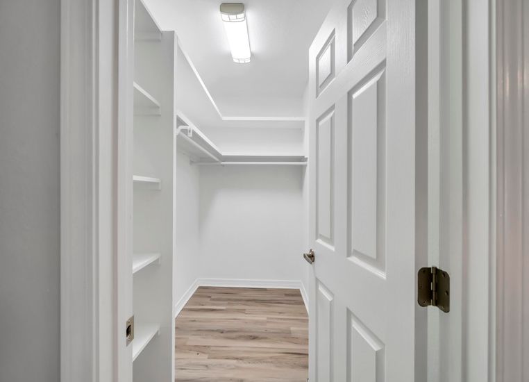 Interior, Walk-in Closets, Wood Texture Flooring