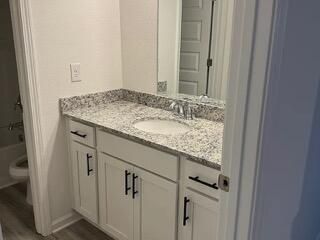Bathroom, Interior, Wood Texture Flooring
