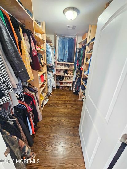 Interior, Walk-in Closets, Wood Texture Flooring