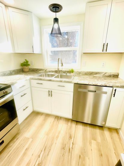 Interior, Kitchen, Stainless Steel Appliances, Wood Texture Flooring