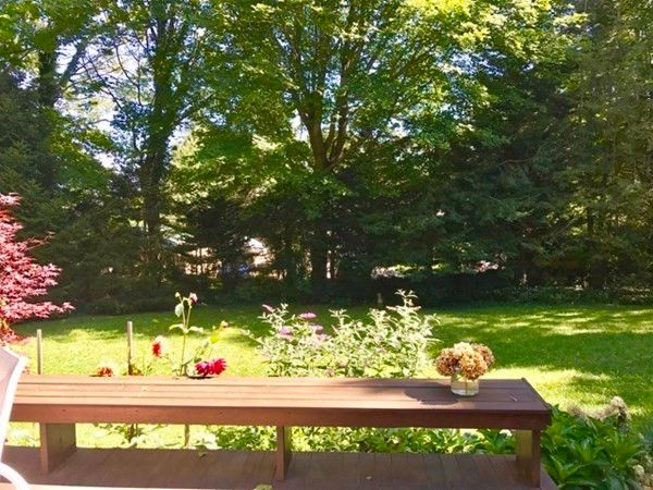 Exterior, Backyard
