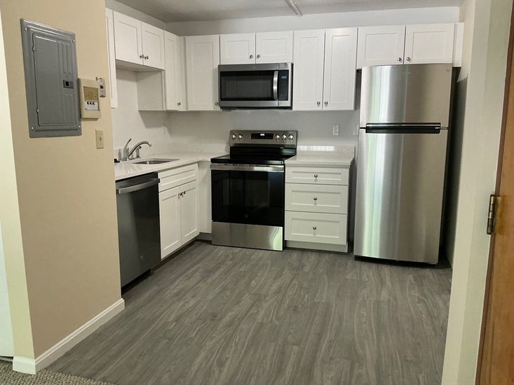 Interior, Kitchen, Stainless Steel Appliances, Wood Texture Flooring