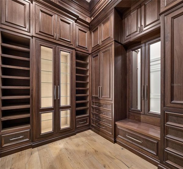 Interior, Walk-in Closets, Wood Texture Flooring