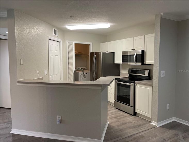 Interior, Kitchen, Stainless Steel Appliances, Wood Texture Flooring