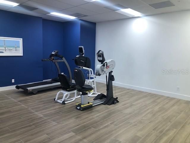 Fitness Equipment, Interior, Recessed Lighting, Wood Texture Flooring
