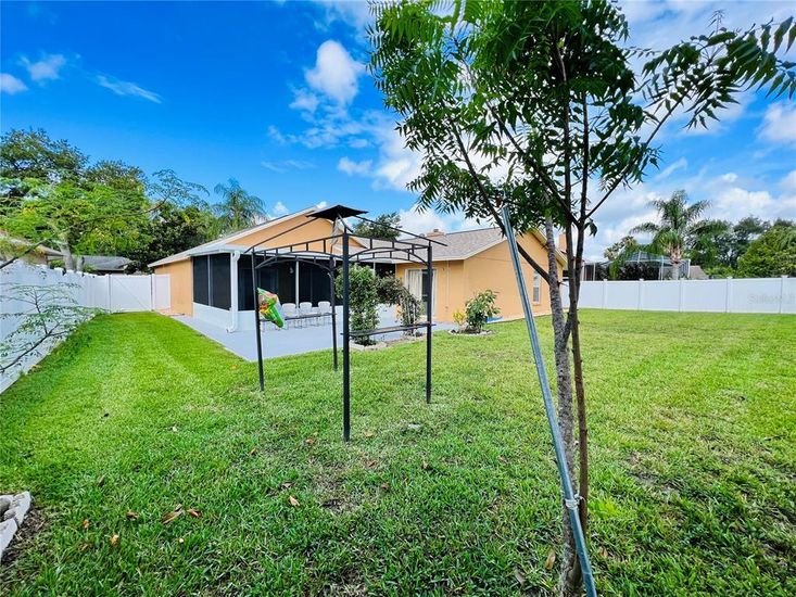 Backyard, Exterior
