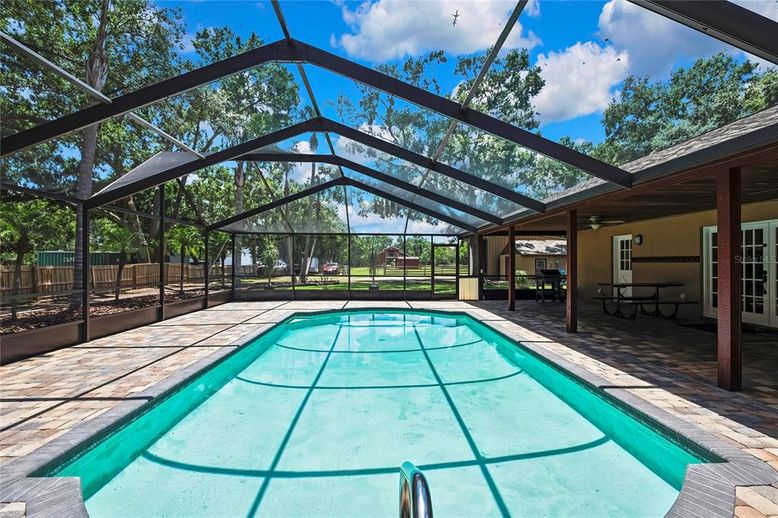 Glass Ceilings, Interior, Pool, Sun Room