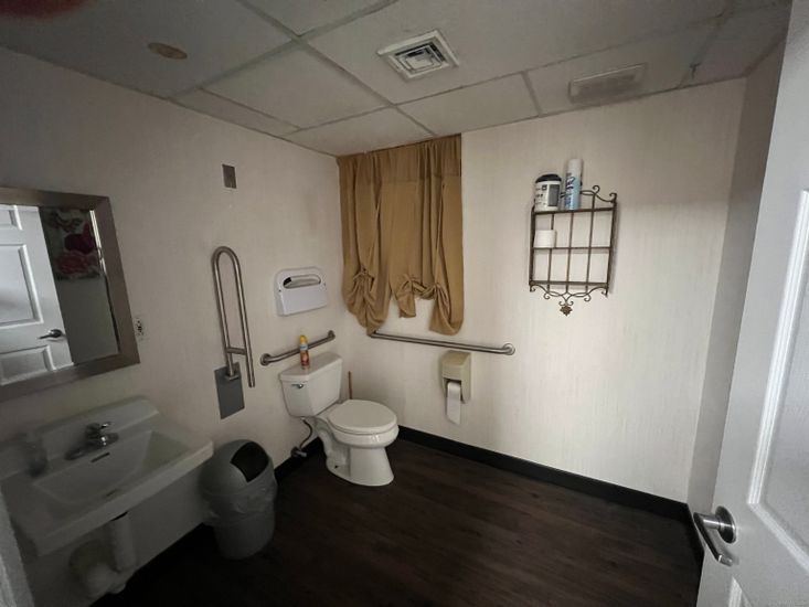 Bathroom, Interior, Wood Texture Flooring