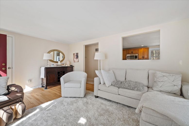 Interior, Kitchen, Living room, Stainless Steel Appliances, Wood Texture Flooring