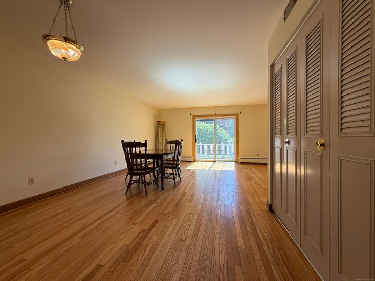Dining room, Interior, Pendant Lights, Wood Texture Flooring