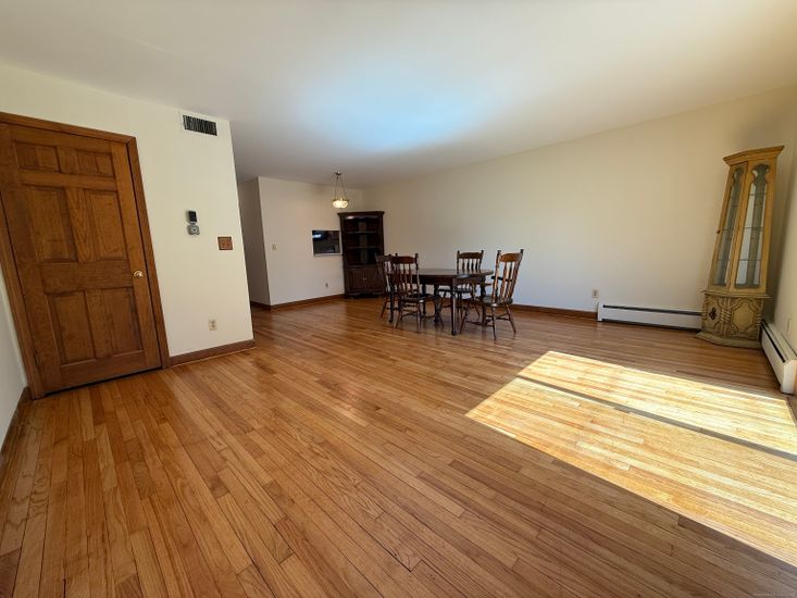 Dining room, Interior, Pendant Lights, Wood Texture Flooring