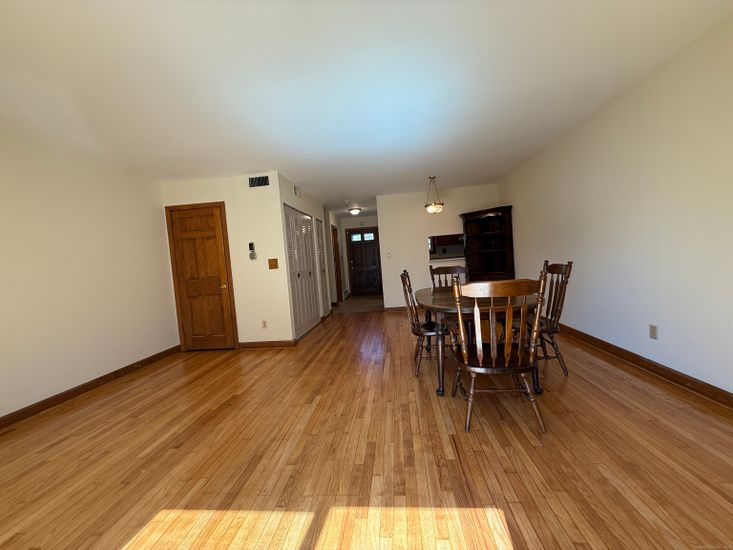 Dining room, Interior, Pendant Lights, Wood Texture Flooring